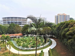 Blk 502 Ang Mo Kio Avenue 5 (Ang Mo Kio), HDB 3 Rooms #210217391